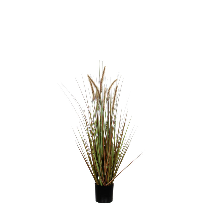The Seasonal Aisle Artificial Pampas Grass in Pot Wayfair.co.uk
